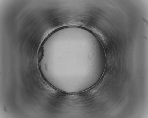 X0000096691280200803041253