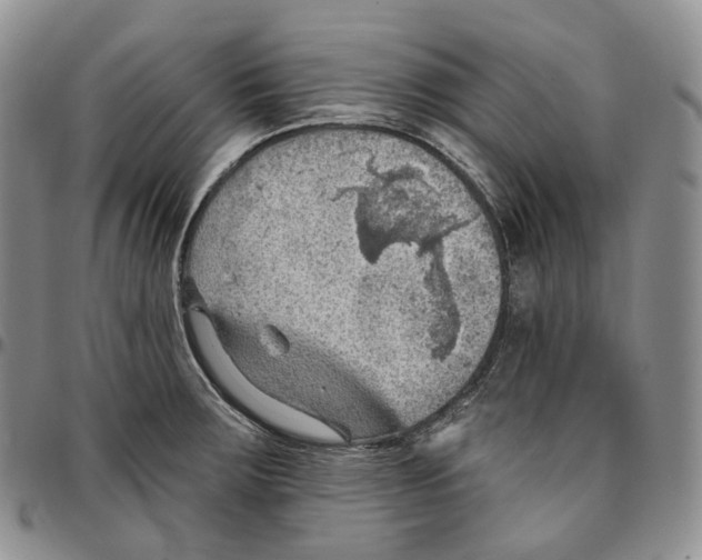 X0000096691283200803041253