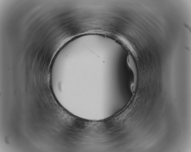 X0000096691284200803041253