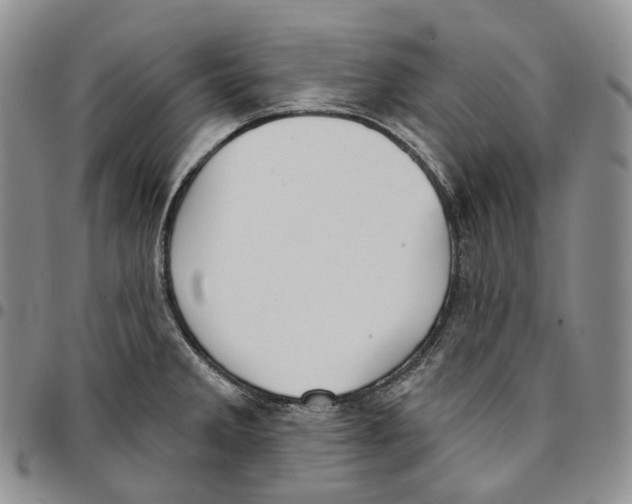 X0000096691285200803041253