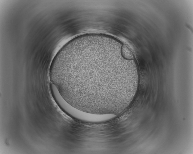 X0000096691287200803041253