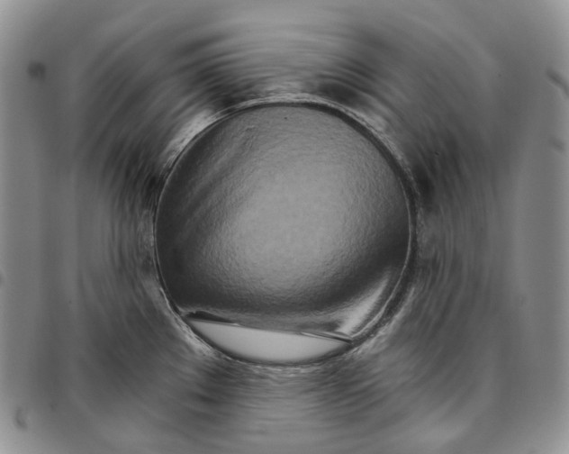 X0000096691289200803041253