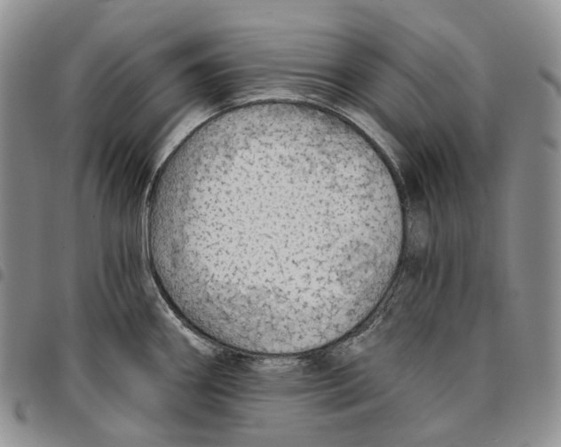 X0000096691290200803041253