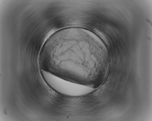 X0000096691291200803041253