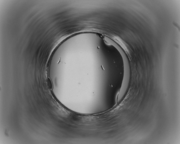 X0000096691292200803041253