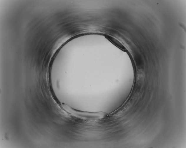 X0000096691293200803041253