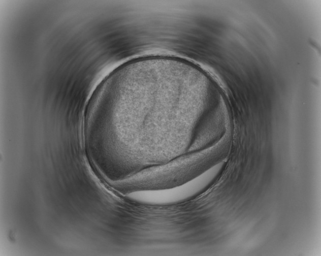 X0000096691295200803041253