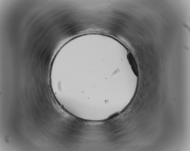 X0000096691296200803041253