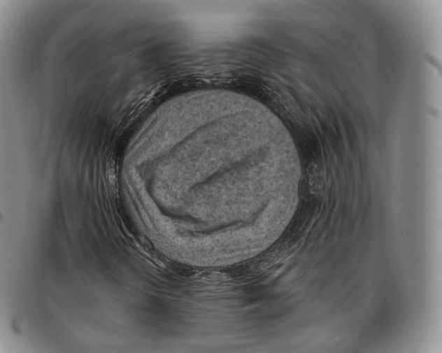 X0000096691298200803041252