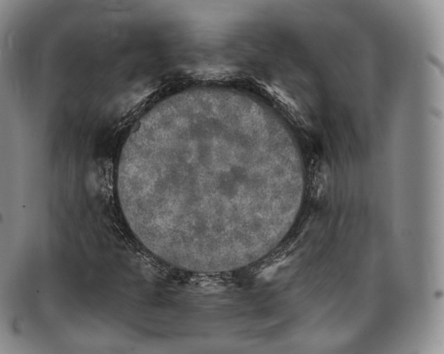 X0000096691301200803041252