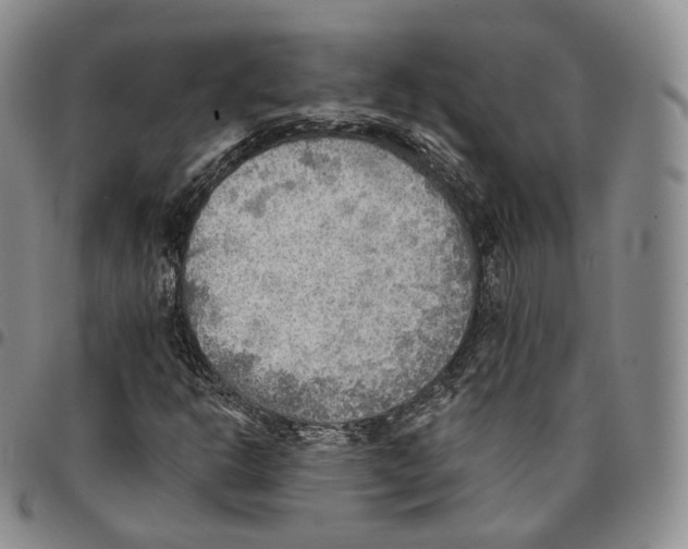 X0000096691302200803041252