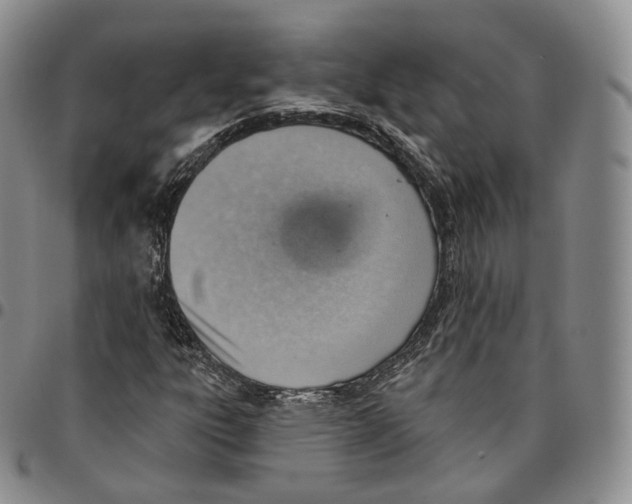 X0000096691303200803041252