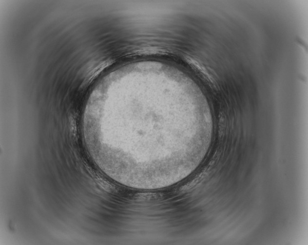 X0000096691305200803041252