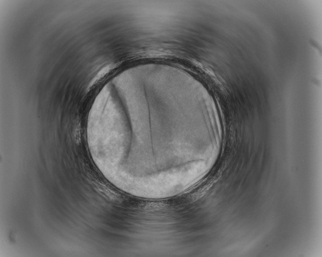 X0000096691306200803041252