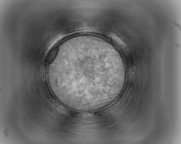 X0000096691310200803041252