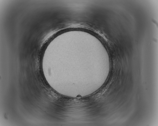 X0000096691311200803041252