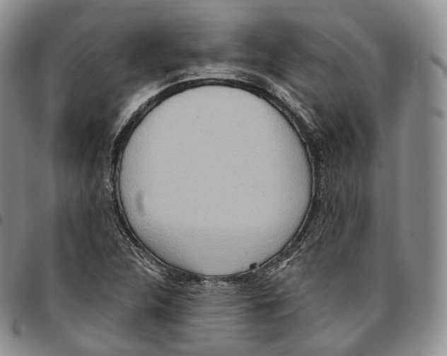 X0000096691312200803041252