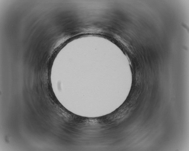 X0000096691315200803041252