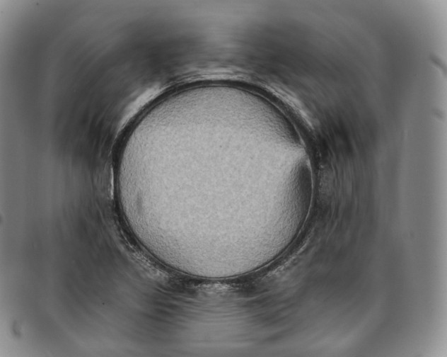 X0000096691317200803041252