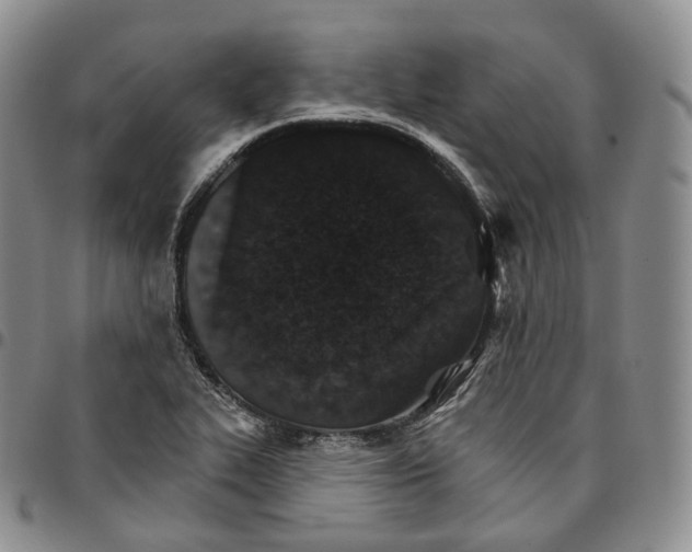 X0000096691319200803041252