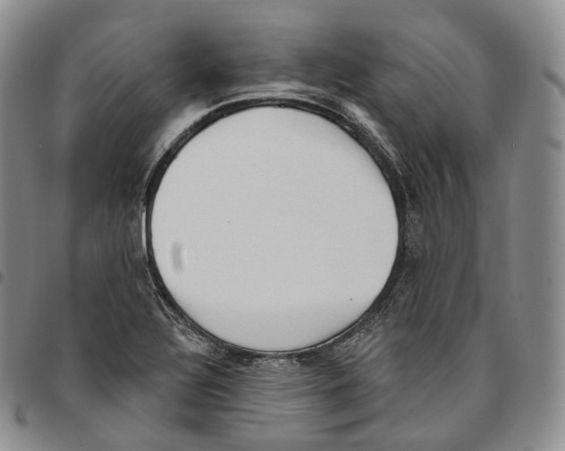 X0000096691320200803041252