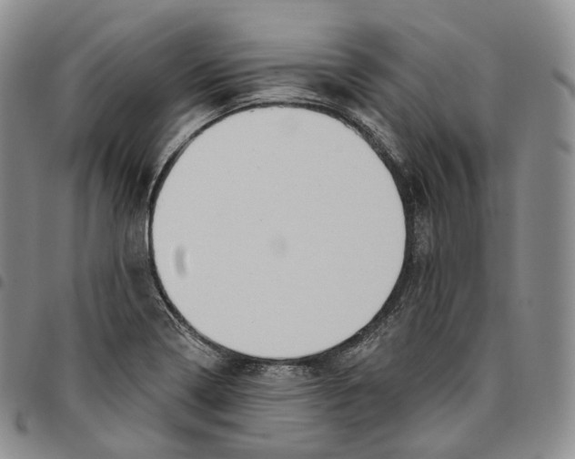 X0000096691322200803041252