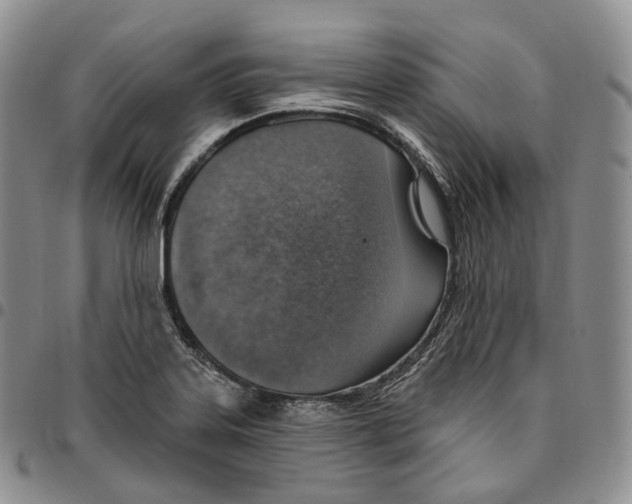 X0000096691323200803041252