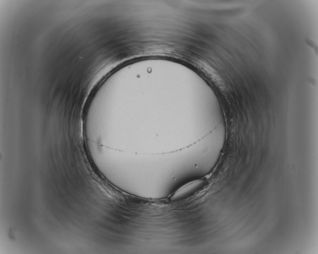 X0000096691324200803041253