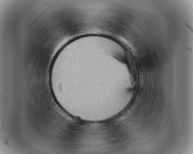 X0000096691326200803041253