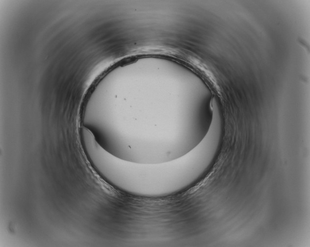 X0000096691328200803041253