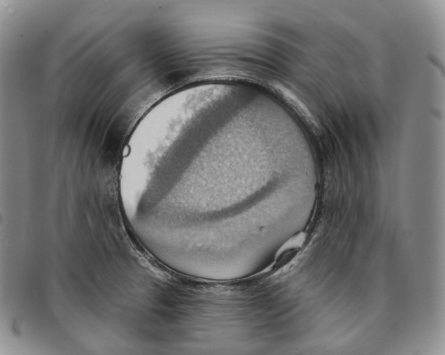 X0000096691329200803041253