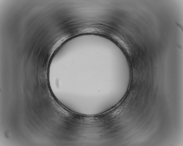 X0000096691330200803041253