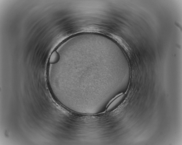 X0000096691331200803041253