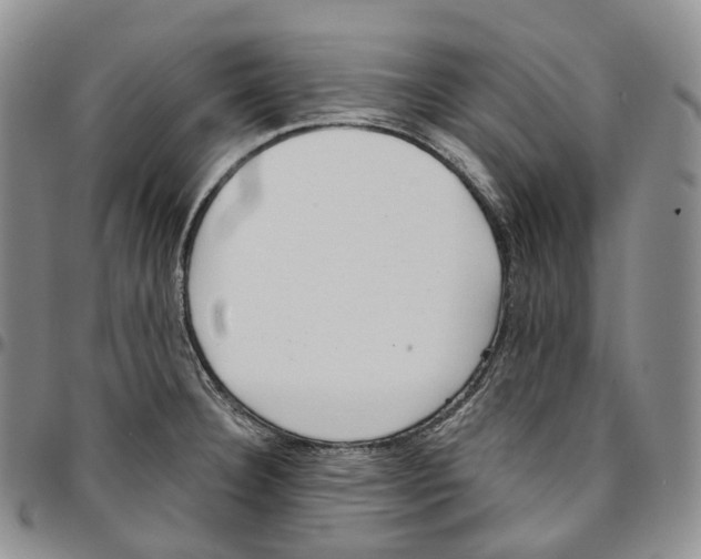 X0000096691332200803041253