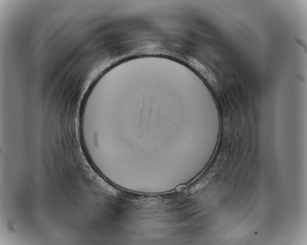 X0000096691334200803041253