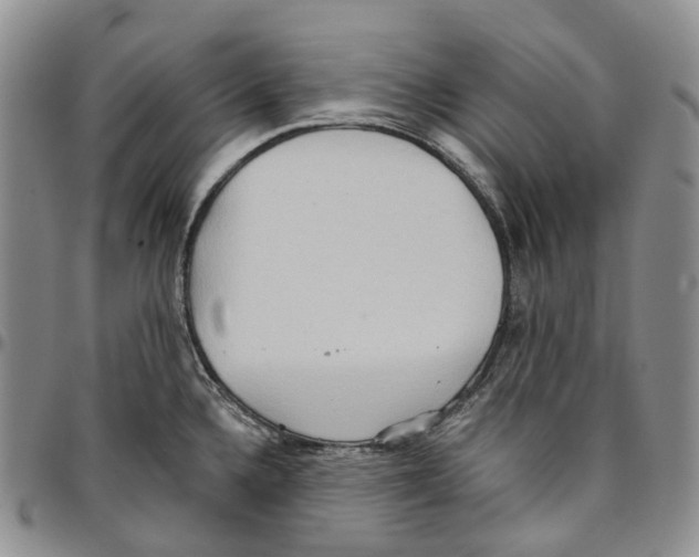 X0000096691336200803041253