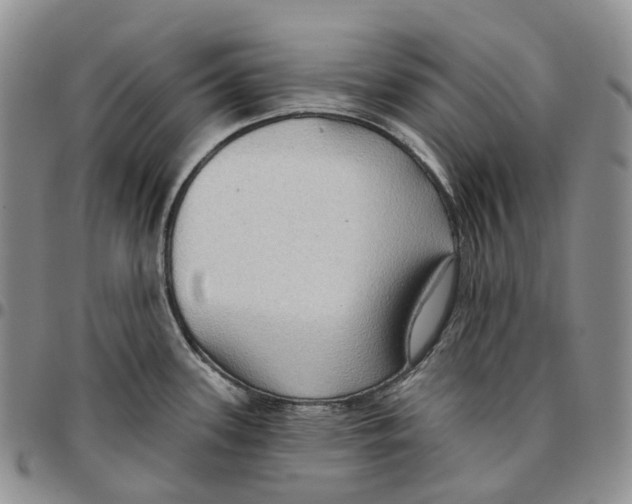 X0000096691339200803041253