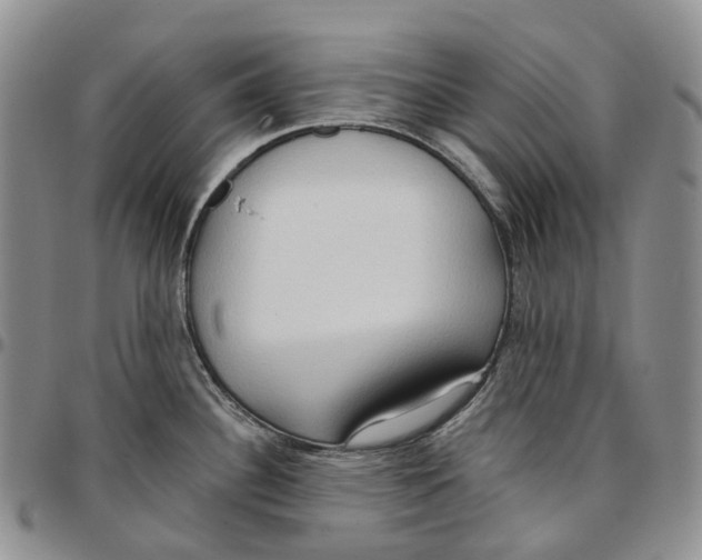 X0000096691340200803041253