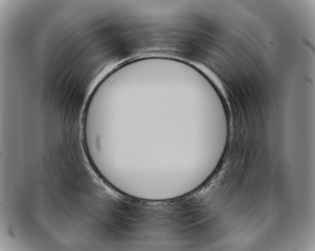 X0000096691341200803041253