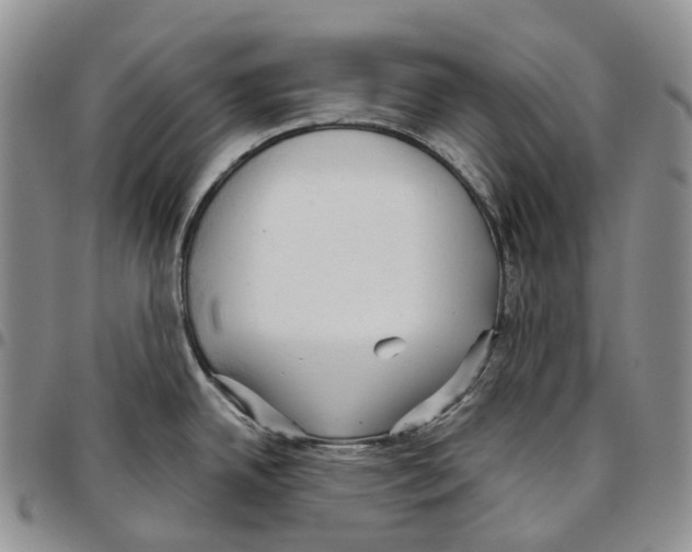 X0000096691342200803041253