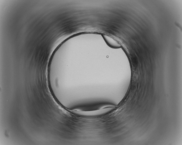 X0000096691343200803041253