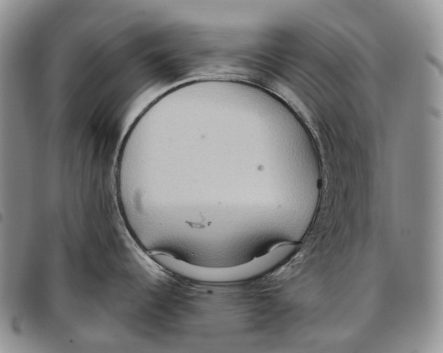 X0000096691344200803041253