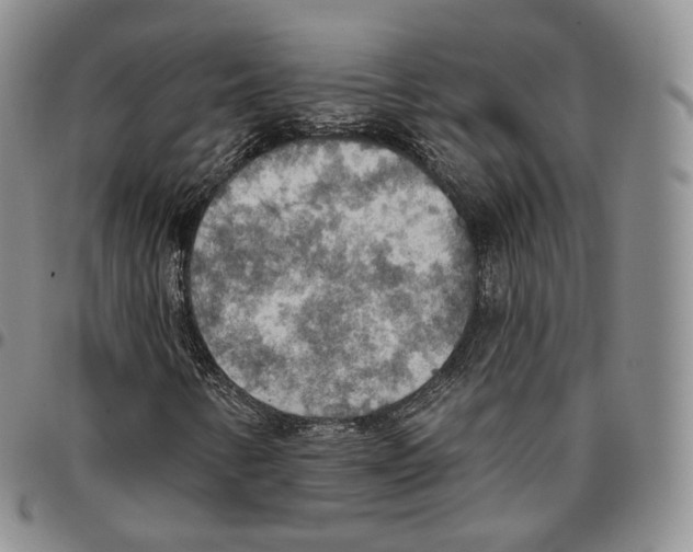 X0000096691346200803041252