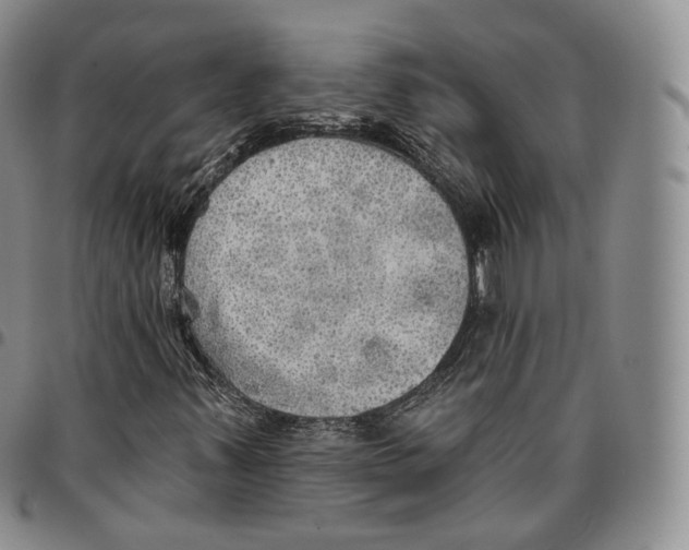 X0000096691347200803041252