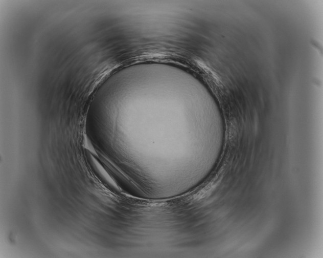 X0000096691353200803041252