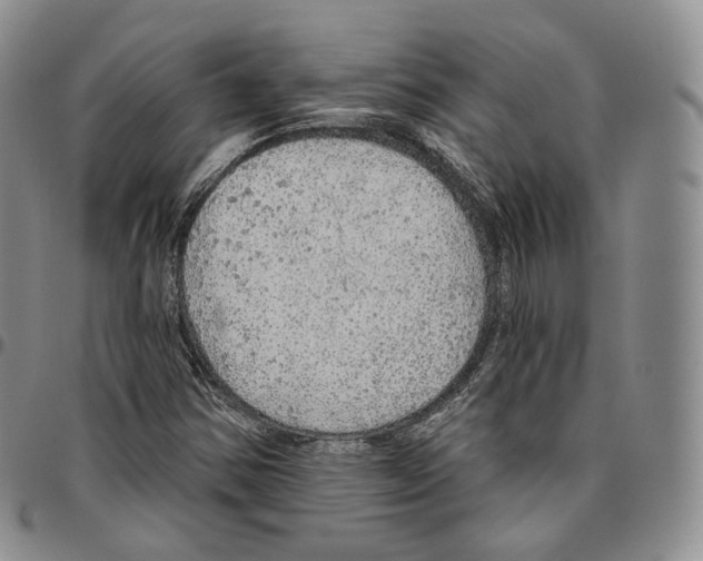 X0000096691354200803041252