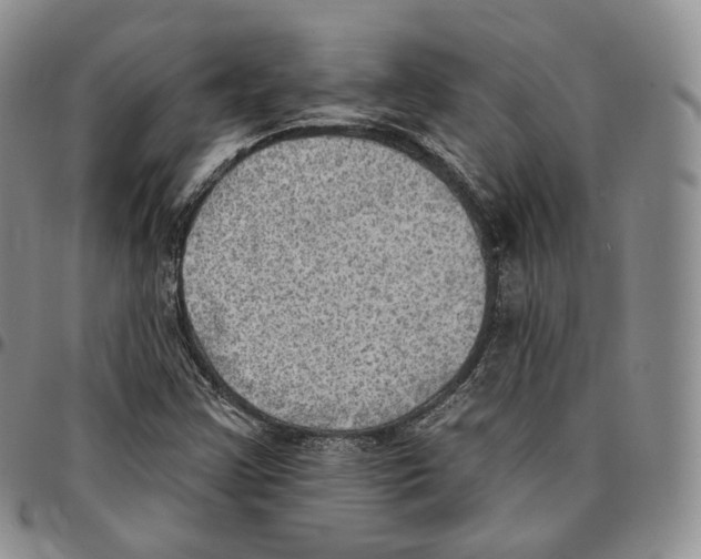 X0000096691355200803041252