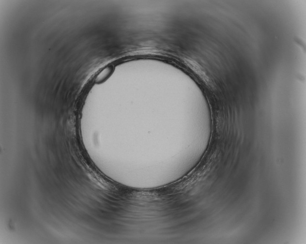 X0000096691356200803041252