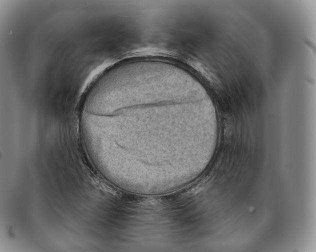 X0000096691358200803041252