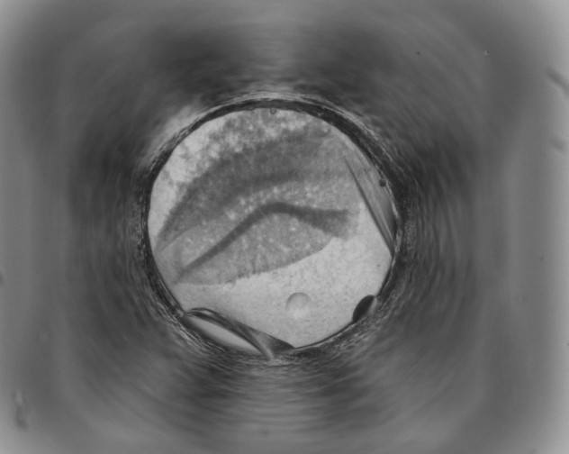 X0000096691359200803041252